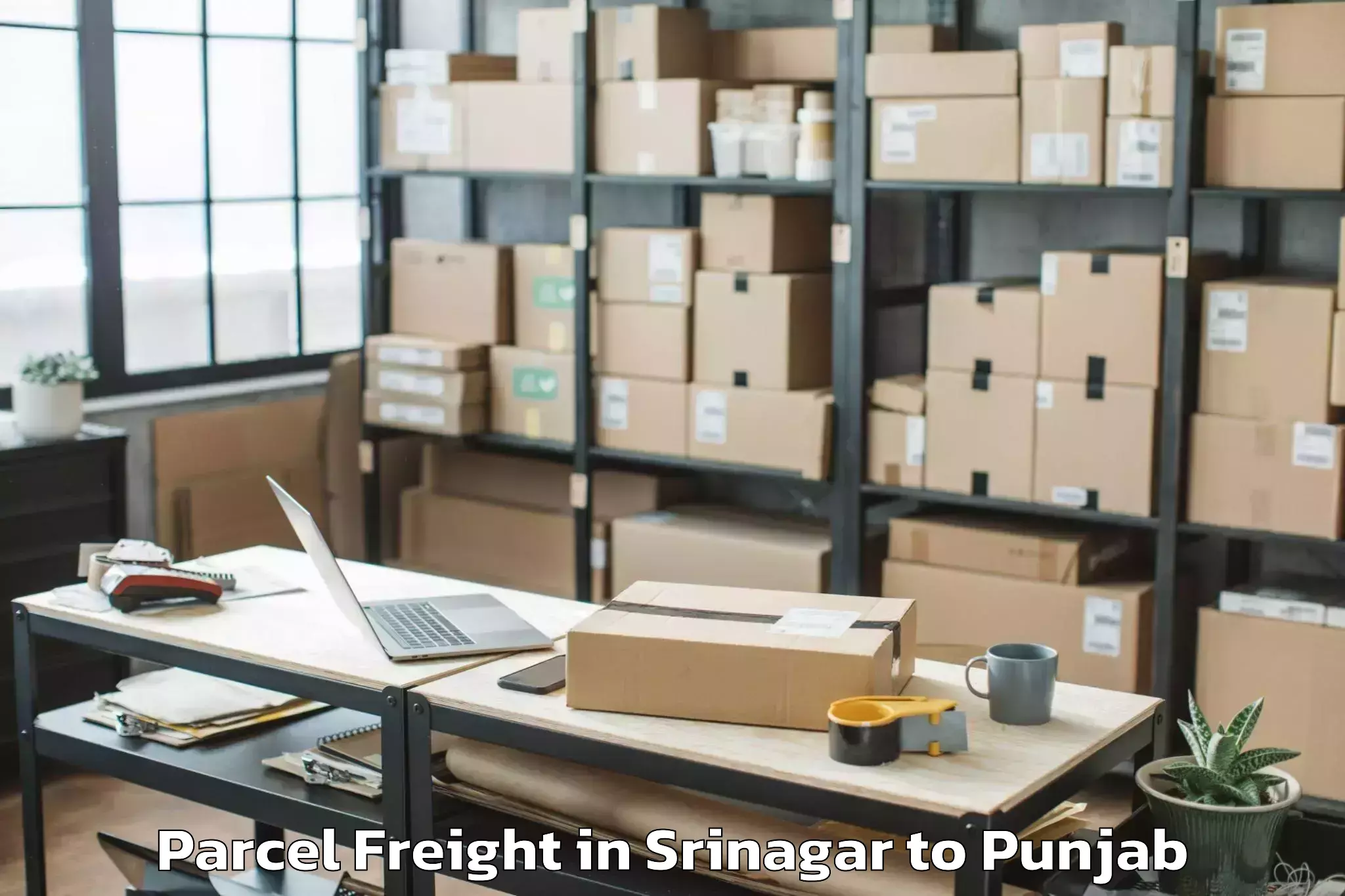 Book Srinagar to Jalandhar Parcel Freight Online